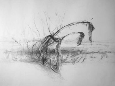 100 cm x 70 cm